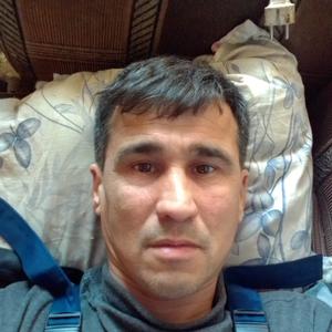 Машариф, 51 год, Тюмень