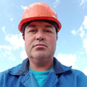 Анатолий, 46 лет, Томск