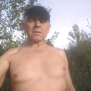 Алекс, 66 лет, Белгород