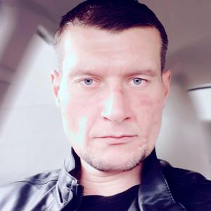 Денис, 40 лет, Таллин