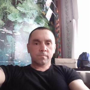 Владимир, 47 лет, Ижевск