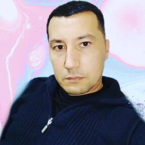 Aybek, 39 лет, Ташкент
