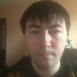 Дмитрий Близнев, 39 лет, Златоуст