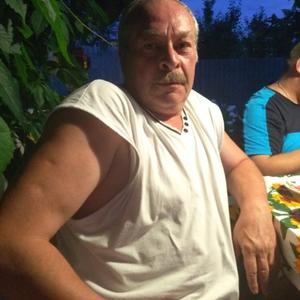 Владимир, 60 лет, Никологоры