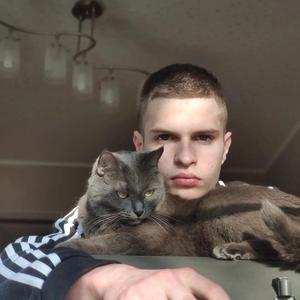 Михаил, 20 лет, Волгоград
