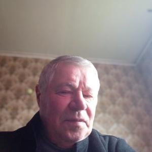 Парни в Олимпийский: Владимир, 73 - ищет девушку из Олимпийский