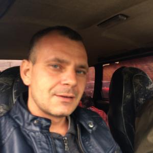 Игорь, 36 лет, Волгоград