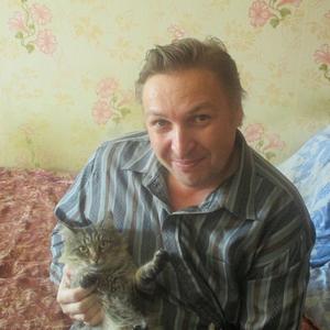 Владимир Ногтев, 54 года, Кострома