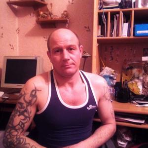 Vladimir, 44 года, Владимир