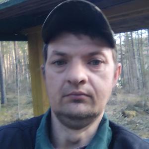 Сергей, 39 лет, Новоржев