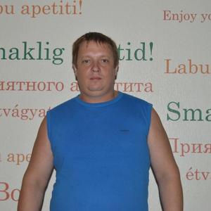 Roman, 43 года, Брянск