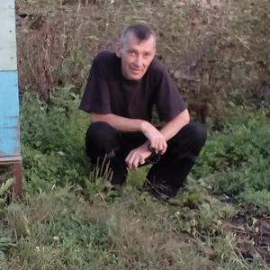 Сергей Алексеев, 51 год, Владивосток