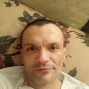 Roman, 43 года, Новосибирск