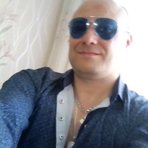 Павел, 41 год, Александров