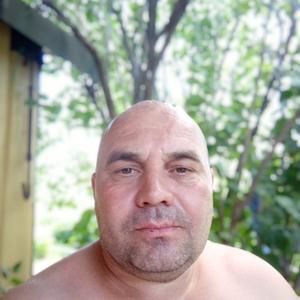 Владимир, 46 лет, Покров
