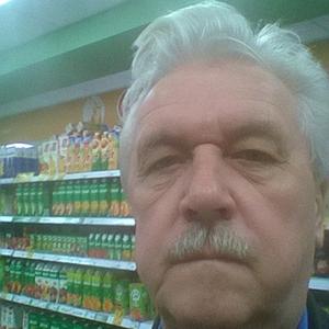 Владимир, 67 лет, Краснодар