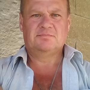 Дима, 54 года, Ногинск