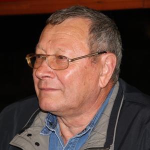Leonid Chumakov, 71 год, Санкт-Петербург