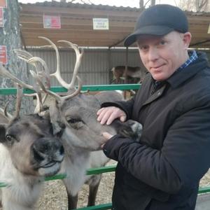 Владимир, 43 года, Новосибирск