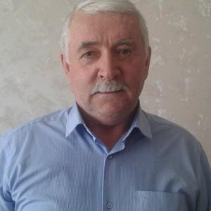 Александр Линников, 67 лет, Кропоткин