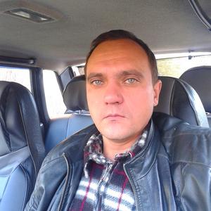 Николай Татаринов, 45 лет, Богородицк