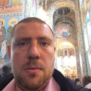 Владимир, 42 года, Калининград