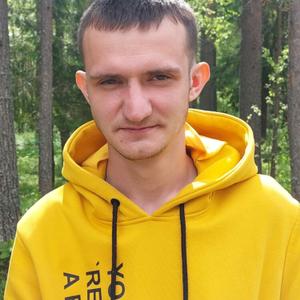 Сергей, 26 лет, Архангельск