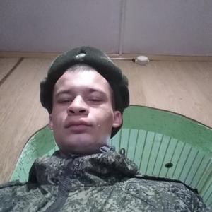 Парни в Ульяновске: Сергей, 29 - ищет девушку из Ульяновска