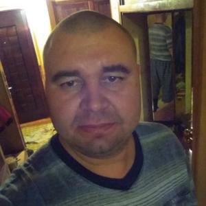 Николай Олуферов, 43 года, Тула
