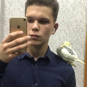 Никита Король, 25 лет, Белово