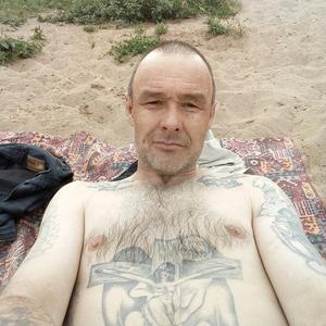 Юрий, 51 год, Михайловский