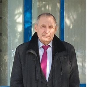 Владимир Микерин, 84 года, Новосибирск