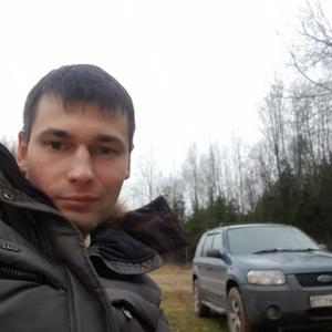 Тимур, 34 года, Вологда