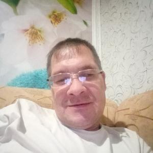 Васёк, 43 года, Азнакаево