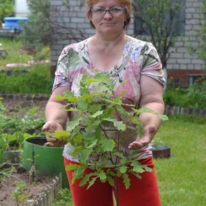 Ольга Журавлева, 66 лет, Пермь