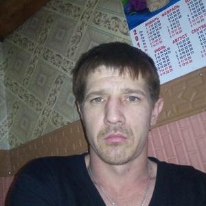 Сергей Степанов, 38 лет, Липецк