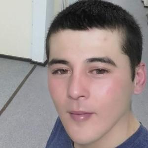 Фарик, 33 года, Красноярск