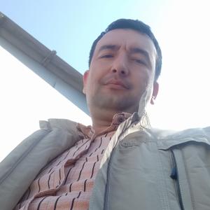 Farhod, 40 лет, Ташкент