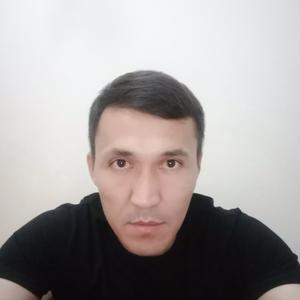 Хай, 39 лет, Ташкент