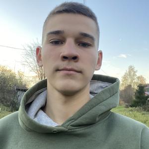 Димасик, 22 года, Павлово
