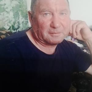 Андрей, 67 лет, Челябинск