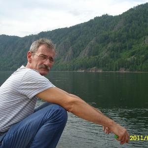 Александр, 68 лет, Железногорск