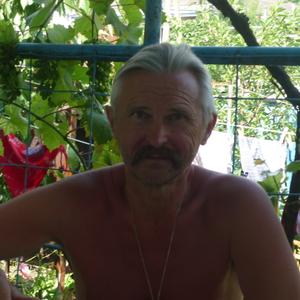 Геннадий, 66 лет, Воронеж