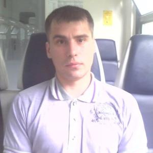 Андрей, 41 год, Александров