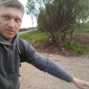 Николай Воронов, 36 лет, Вологда