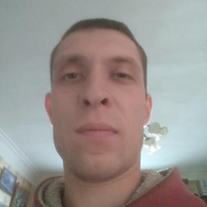 Матвей, 37 лет, Сергиев Посад