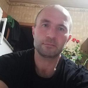 Парни в Вилейке (Беларусь): Анатолий, 43 - ищет девушку из Вилейки (Беларусь)
