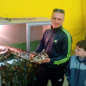 Парни в Киселевске: Вячеслав, 44 - ищет девушку из Киселевска