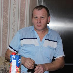 Андрей, 58 лет, Подольск