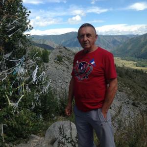 Анатолий, 68 лет, Барнаул